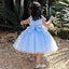 Lovely Blue Straps Round The Neck Sleeveless Applique Cheap Flower Girl Dresses, Princess Dresses CPF85